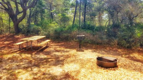 Gulf Shores Cabin | The Cabins at Gulf State Park