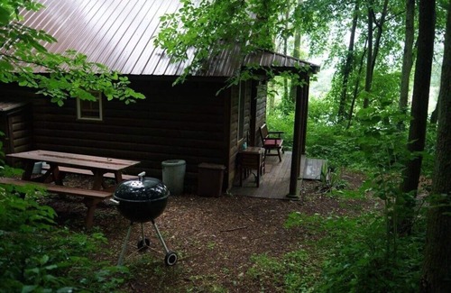 Hartville Cabin | The Camp Cabin at Darst-Myers Hallstead