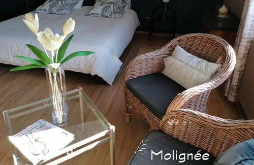 Anhee Bed & Breakfast | THE CHERRY - MOLIGNEE
