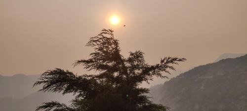 Bageshwar Other | The Click Eatery cafe and campsite