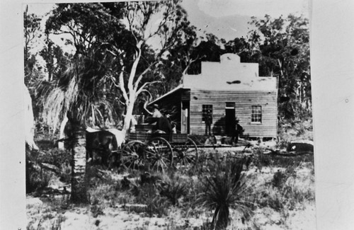 Collie Hotel | The Colliefields