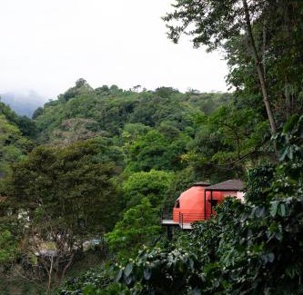 Los Naranjos Cabin | The Dome Boquete