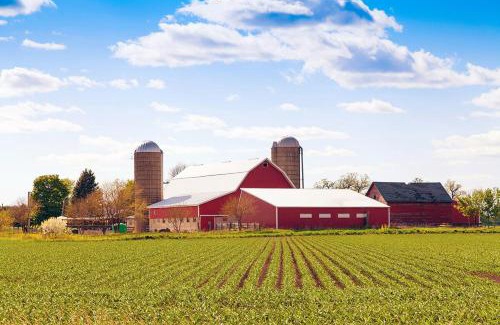 County of Brant Other | The Farm