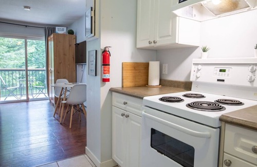 Harrison Hot Springs Apartment | The Flats at Cedar Springs | Full Kitchen & Steps to Lake