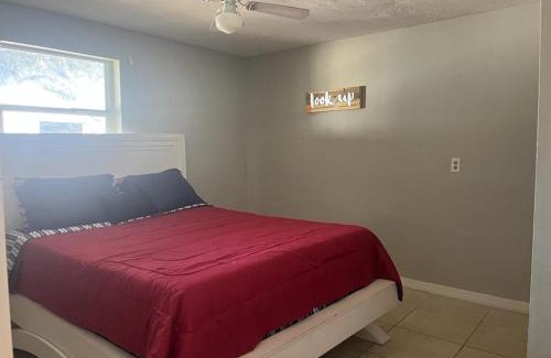 Wesley Chapel House | The flower house
