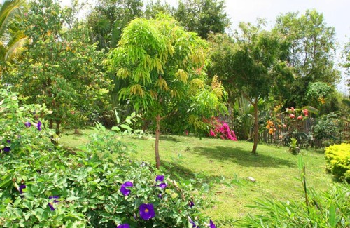 Saint David's Villa | The Garden Villa