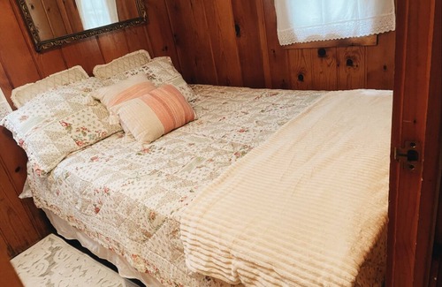 Carp Lake Cabin | The “Good Life” Cabin - Close to Mackinac Island!
