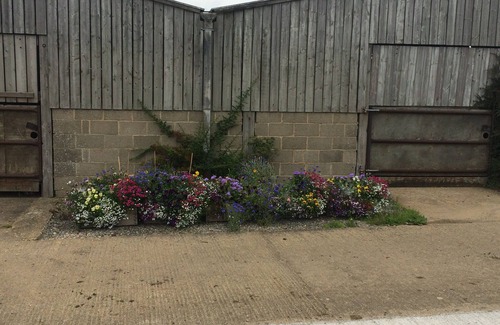 Stockton-on-Tees Cottage | The Granary at Todds House Farm