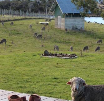 Little Swanport House | The Gregan Retreat with private beach