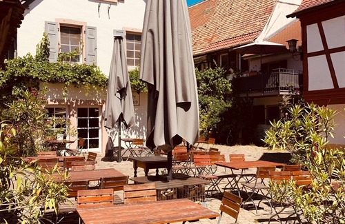 Freinsheim Apartment | THE Hampton Hock's Nr.3 Apartment mit Dachterrasse Wellness Weinkeller 1a-lage