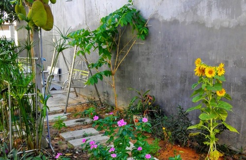 Mui Ne House | The House 17 1