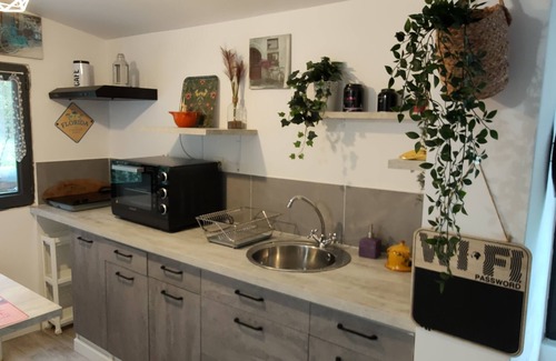 Aramon House | The house around the fig tree