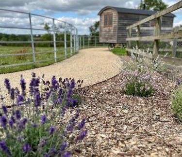 Maidwell Cabin | The Hut at Blackberry Barn