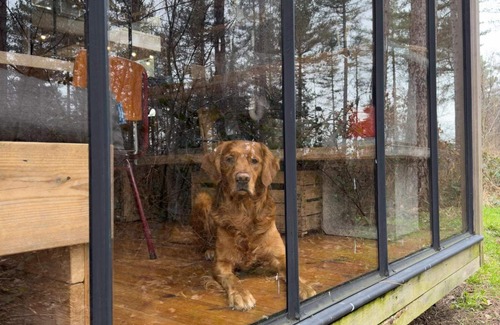 Maaseik House | The ideal base for hiking vacations with your dog