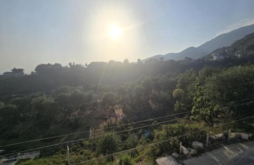 Sidhpur Hotel | The Jungle Hut