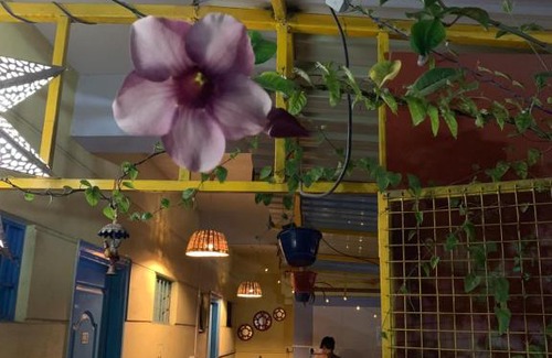 BTM Layout Hostel | The Little Blue Window Hostel