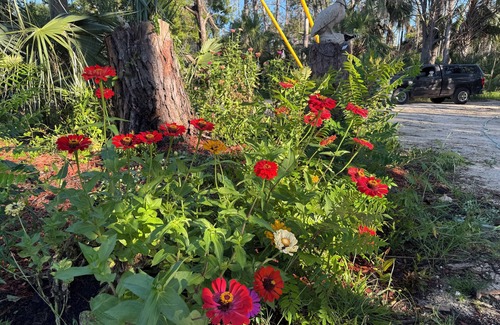 Steinhatchee RV Rental | The Marsh site at Privacy RV campgrounds of Steinhatchee- Awesome, private!