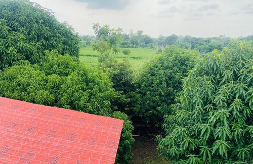 Rajpipla House | The Moon Stay