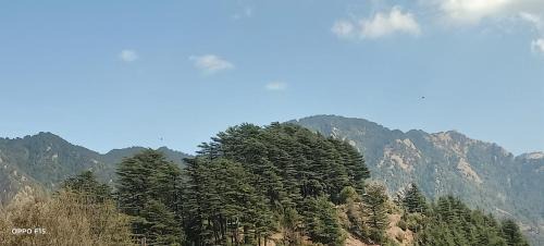 Dhanaulti Resort | The mount vista resort Dhanolti
