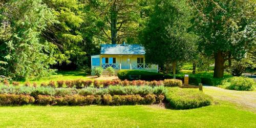 The Patch Cabin | The Mountain View Cottage