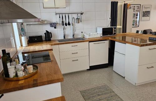 Jukkasjarvi House | The Northern Light Apartment