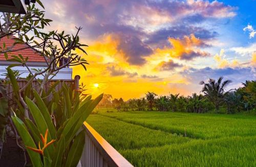 Singakerta Villa | The Nugraha Ubud Private Pool Villa with Rice Field View