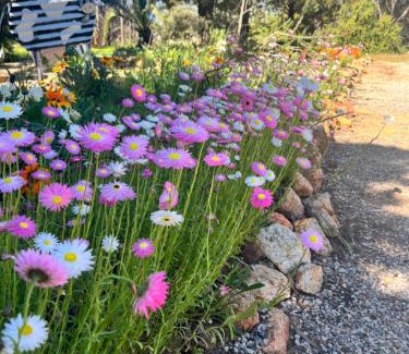 Dalwallinu Bed & Breakfast | The Old Convent Dalwallinu