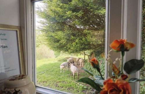 South Molton Cottage | The Old Workshop