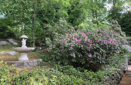 Essex Cottage | The perfect New England getaway only a 10 minute walk to downtown!