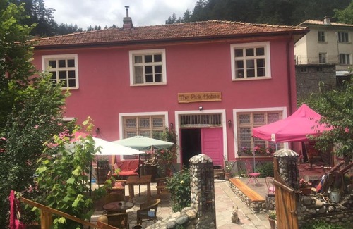 Polkovnik Serafimovo House | The Pink House