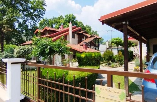 Polykarpion Ski Chalet | "The plane trees"
