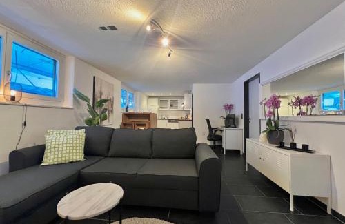 Obergosgen Apartment | The R Apartment Froburg, Parking, Netflix, Golfplatz