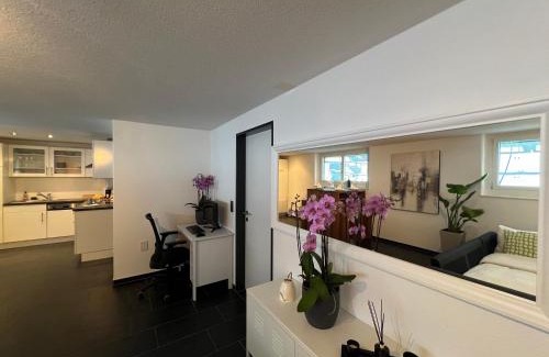 Obergosgen Apartment | The R Apartment Froburg, Parking, Netflix, Golfplatz