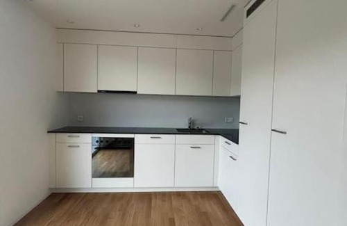 Balsthal Apartment | The R Apartment Vogelberg, Gym, Balkon, Parking