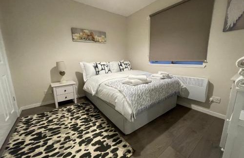 Alloa House | The Riverside