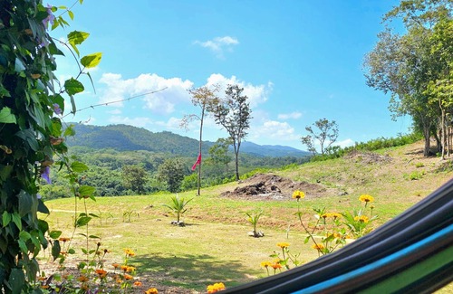 Negroman House | THE RUINS-NEW Charming 1-BR house-Onsite Untouched Mayan Ruin-Organic Garden