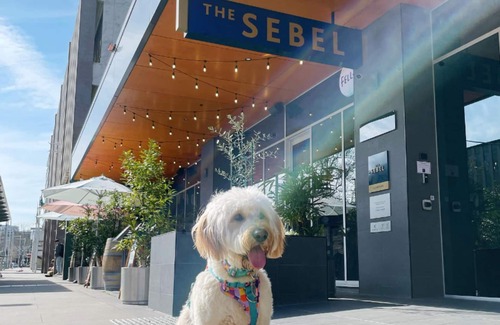 City East Apartment | The Sebel Canberra Civic