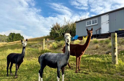 Oamaru Other | The Shepherd's Rest