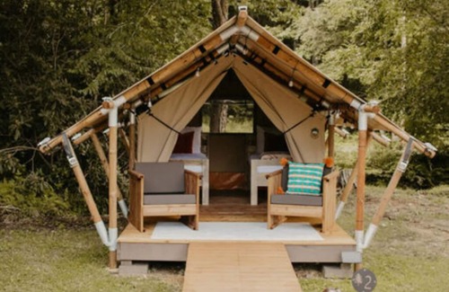 Flag Pond Cabin | The Sorrell Unit 2 - Glamping Retro