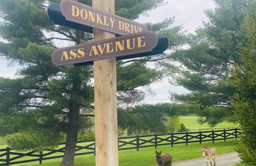 Heltonville House | The Stable- at Donkeytown, barndominium on a 40 acre guest ranch