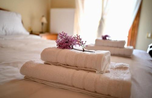 Tripi Villa | The Teacher's House
