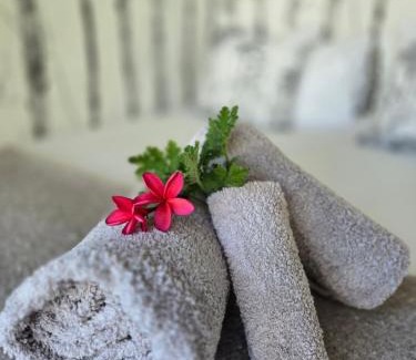 Riebeeck West House | The tiny home