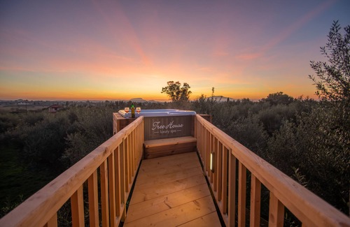 Agia Marina House | The Tree House at Zante Lagos