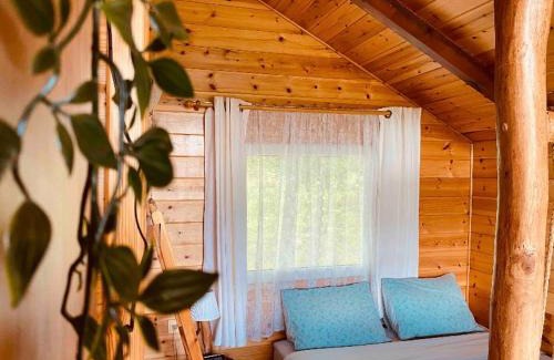 Zitsa Apartment | The Treevilla