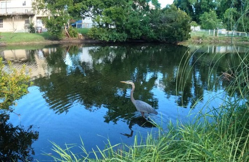 Whitemarsh Island House | The Turtle Pond Oasis