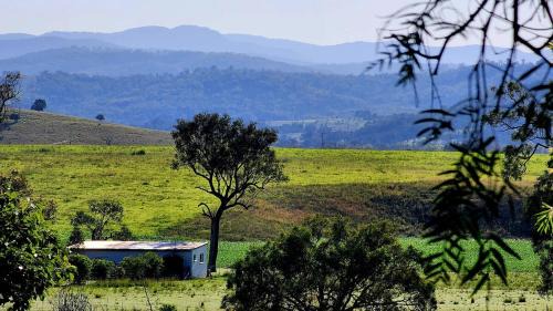 Mingoola Apartment | The Vet Shed, Riversdale
