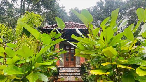 Sulthan Bathery Apartment | The village vista