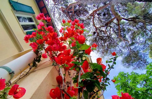 Castiglioncello Villa | The White House on the sea