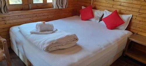 Anjanvel House | The Woods Beach Stay