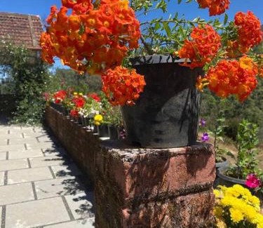 Naduvattam House | Thendral: Delightful homestay on a hill near Ooty